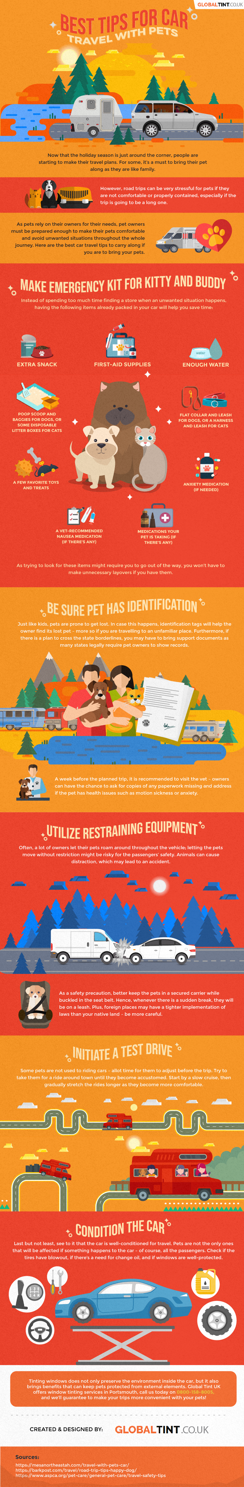 Best Tips for Car Travel with Pets